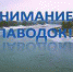Апелляционное определение судебной коллегии по гражданским делам Свердловского областного суда от 02.11.2016 - Администрация г. Ирбит