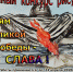 Дорогие друзья!!! - Ирбитское МО