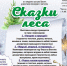 Сказки леса - Управление культуры, физкультуры и спорта