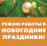 Об организации работы ГАУЗ СО «Ирбитская ЦГБ» в выходные и праздничные дни  с 30 декабря 2023 года по 08 января 2024 года - Ирбитская ЦГБ