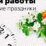 Режим работы в майские праздники - Ирбитская ЦГБ