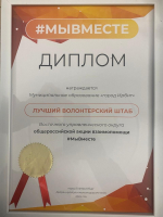 На Форуме добровольческих организаций Свердловской области #МыВместе город Ирбит награжден дипломом за лучшую работу волонтерского штаба.