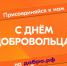 Добровольчество в России — важная часть современной жизни - Администрация г. Ирбит