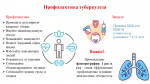 24 марта Всемирный день борьбы с туберкулезом