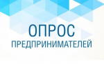 Анкетирование предпринимателей