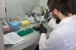 Дроны, эмбрионы телят и искусственный интеллект стали частью успешных стартапов свердловских студентов-аграриев